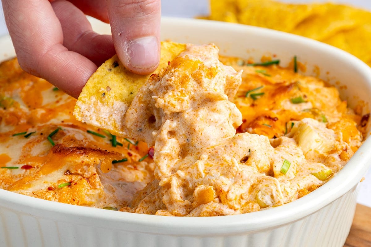 Buffalo Chicken Dip With Cottage Cheese