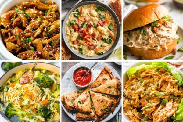 50 Shredded Chicken Recipes