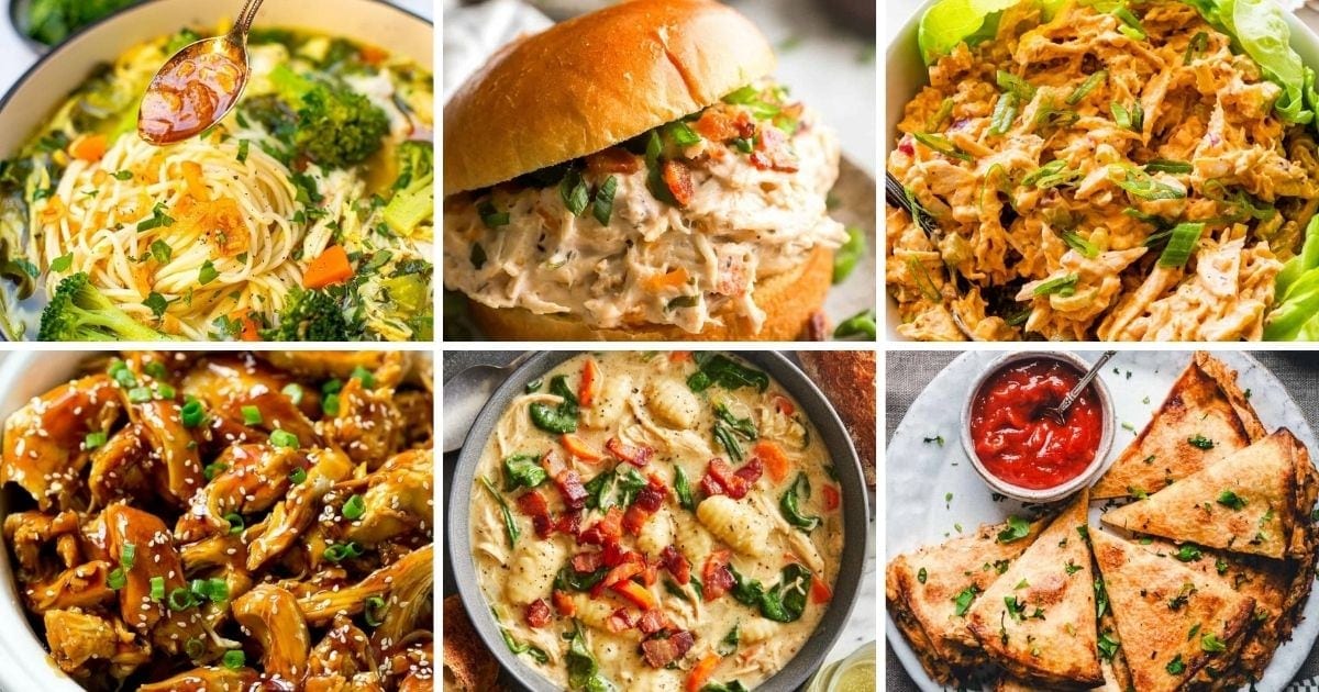 Shredded Chicken Recipes (Easy Ideas + 50 Ways to Use It)
