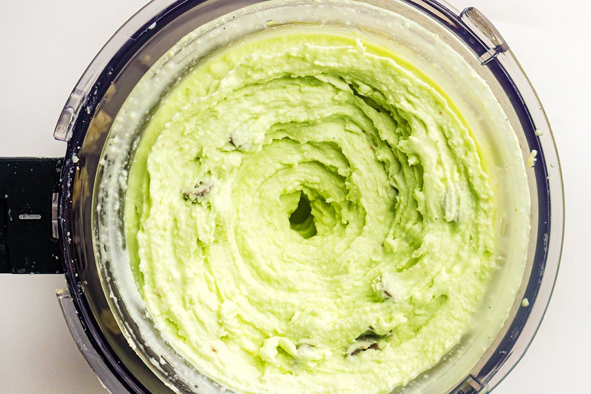 Mint Chocolate Chip Ninja Creami Ice Cream