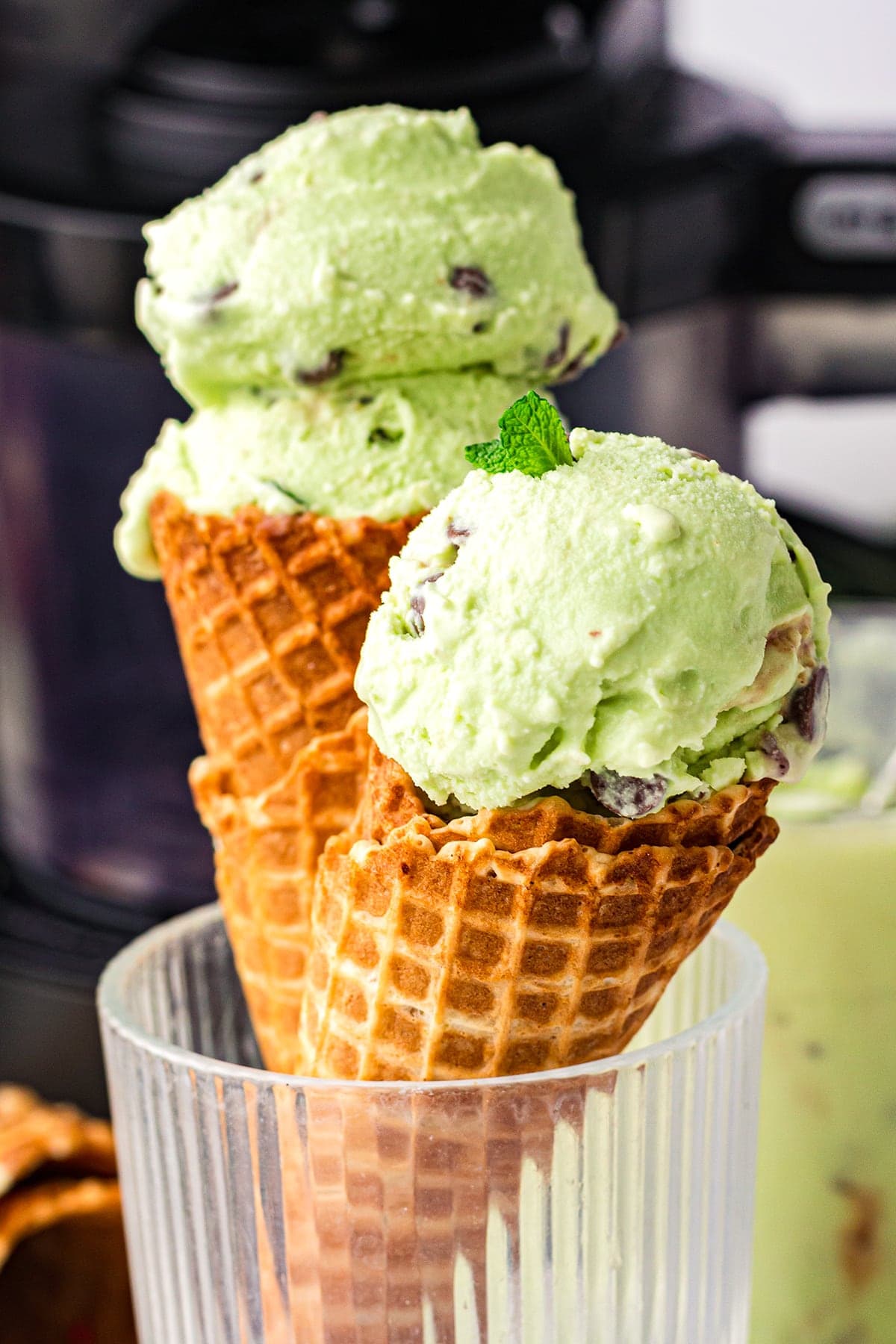Mint Chocolate Chip Ninja Creami Ice Cream