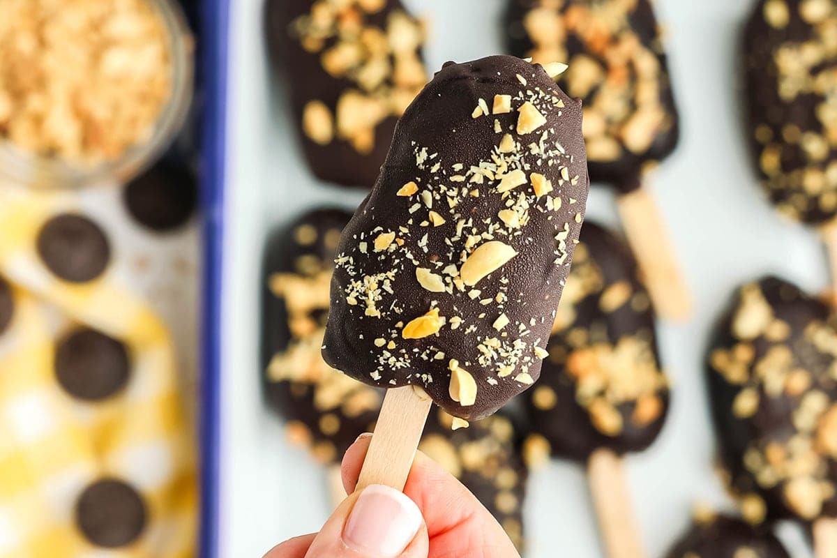 Chocolate Peanut Butter Frozen Yogurt Bars